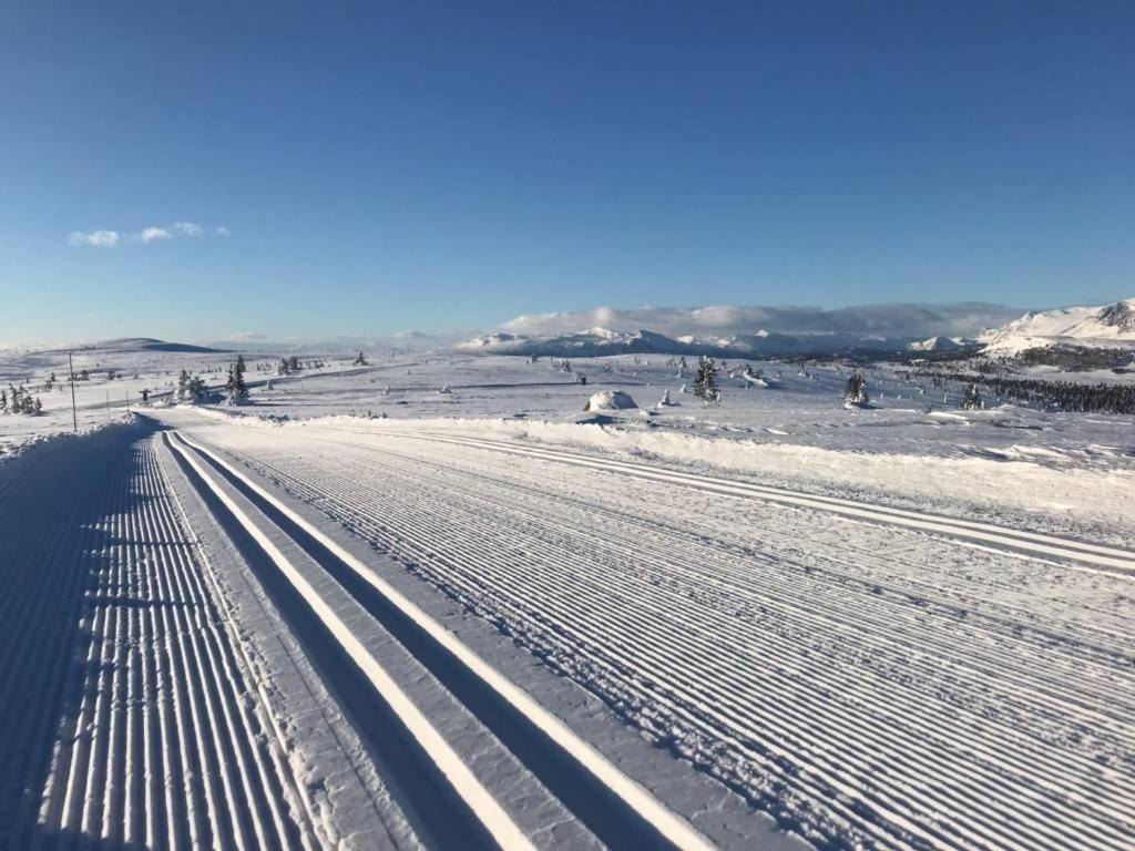 Golsfjellet - Bualie, Milevis Med Sykkelveier, Fiske Og Vannaktivitet, Ski Inn/Ut Til Alpinanlegg Og Langrennsloyper. المظهر الخارجي الصورة