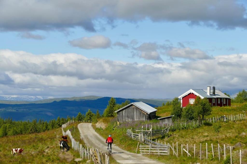 Golsfjellet - Bualie, Milevis Med Sykkelveier, Fiske Og Vannaktivitet, Ski Inn/Ut Til Alpinanlegg Og Langrennsloyper. المظهر الخارجي الصورة