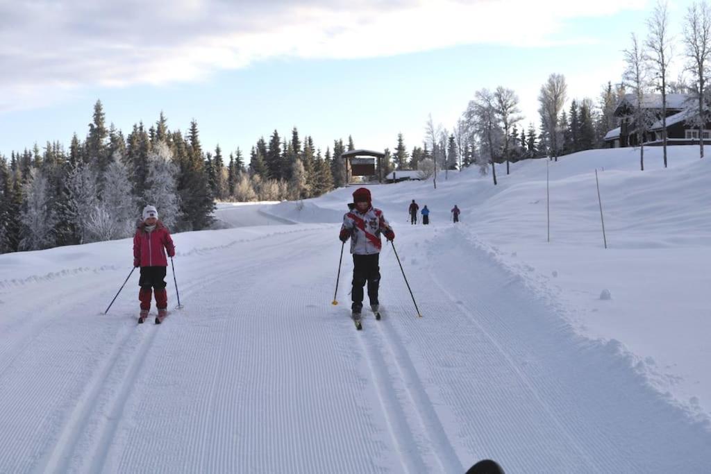 Golsfjellet - Bualie, Milevis Med Sykkelveier, Fiske Og Vannaktivitet, Ski Inn/Ut Til Alpinanlegg Og Langrennsloyper. المظهر الخارجي الصورة